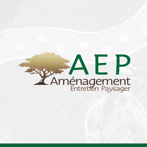 Logo AEP